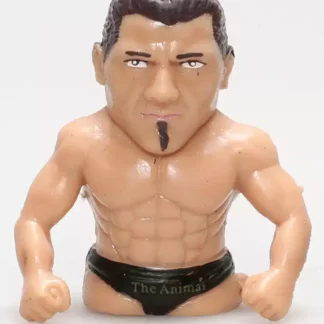 Batista-Catcheur-à-la-WWE