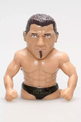 Batista-Catcheur-à-la-WWE