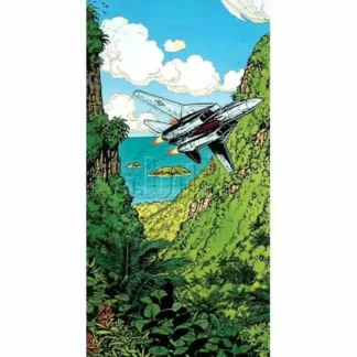 Buck-Danny-Affiche-offset-par-Bergèse-F14-Tomcat