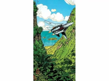 Buck-Danny-Affiche-offset-par-Bergèse-F14-Tomcat