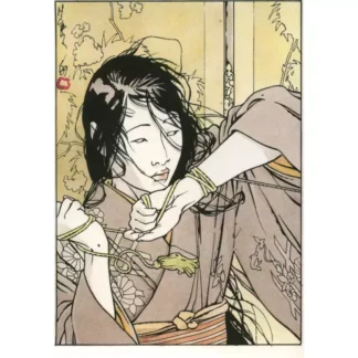 Kogaratsu-Porfolio-de-8-cartes-postales-Geishas-par-Michetz-e