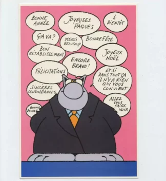Le Chat-Geluk-Cate-XL-Toutes-occasions-MG01