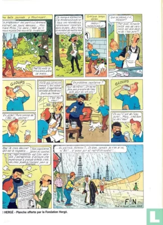 Les-Magiciens-d-eau-Fondation-Daniel-Balavoine-Collectif-page-hergé