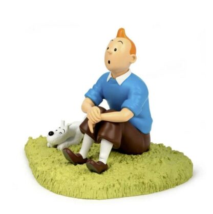 MOU-47001-a-herge-tintin-assis-dans-herbe-ile-noire.jpg