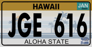 Plaque d'immatriculation américaine, Hawaii (Aloha State)