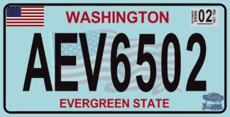 Plaque d'immatriculation américaine, Washington (Evergreen State)