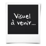 Francq, Largo Winch, Sérigraphie signée, La Voie et la Vertu