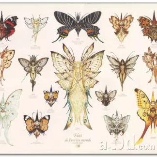 Affiche Féerie Ledroit