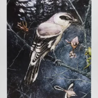 affiche Hausman pie grièche signée