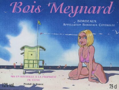 La plage - Bois Meynard