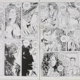 bede-adult-album-110-recueil-239-240-bd-adulte-planches