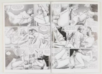 bede-x-sm-album-76-recueil-138-139-bd-adulte-planches