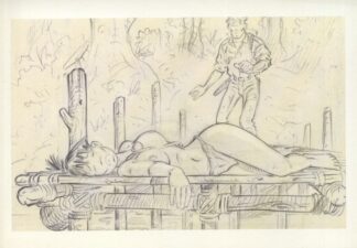 Carte Postale BD : Adler : Bahia Verde / Les maudits