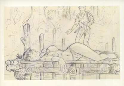 Carte Postale BD : Adler : Bahia Verde / Les maudits