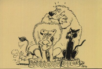 Les étoiles du cirque - Dressage des animaux