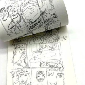 chimeres-t1-storyboard-folle-image-behe-page11
