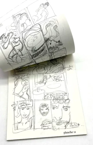 chimeres-t1-storyboard-folle-image-behe-page11