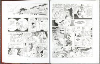 XIII Album coté Intégrale Dargaud XIII Mystery 1-2 (noir et blanc)