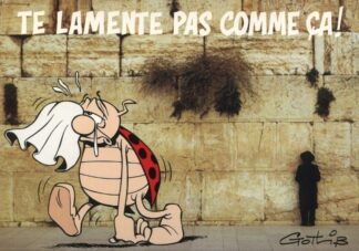 La coccinelle : Carte Postale : Te lamente pas comme ça !