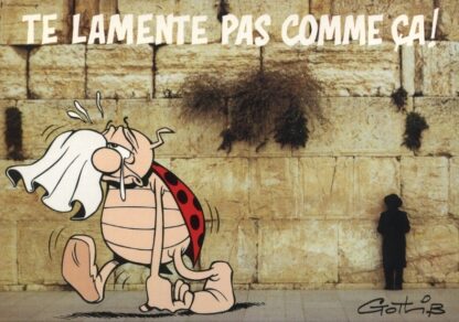 La coccinelle : Carte Postale : Te lamente pas comme ça !
