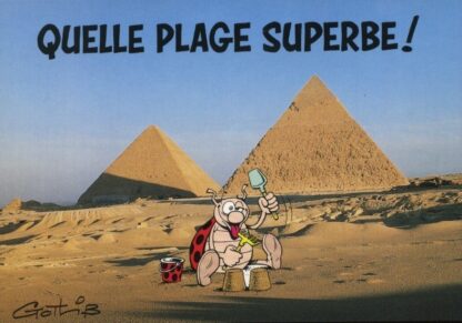 La coccinelle : Carte Postale : Quelle plage superbe !