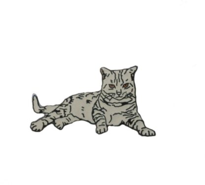 Pin's, Démons & Merveilles, Chat tigré gris couché