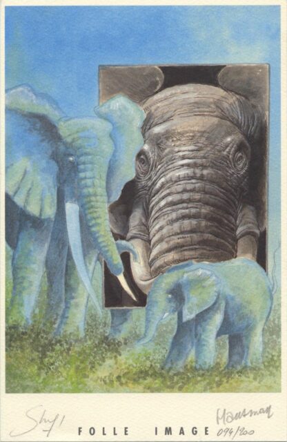 Elephants