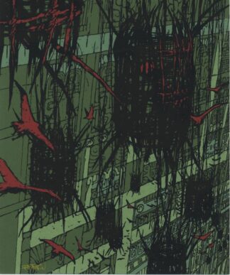 Oiseaux Rouges
