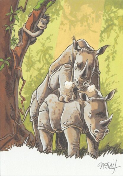 Rhinos