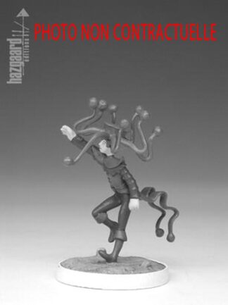 La Nef des Fous – Arthur le Fou Blanc | Figurine Hazgaard par Turf | (non peinte)