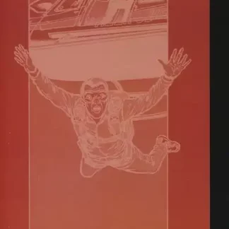 horizon-blanc-t4-tt-compte-a-rebours-andre-osi-verso