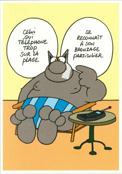 Le Chat :  Carte Postale : Téléphone à la plage
