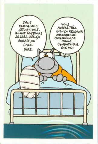 Le Chat : Carte Postale : 'Dans certaines situations, il faut toujours se dire que ça aurait pu être pire'