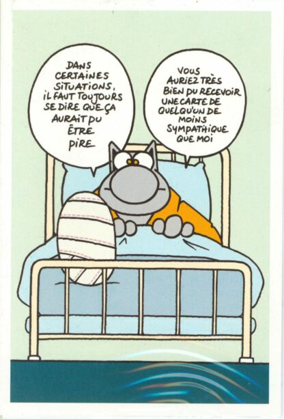 Le Chat : Carte Postale : 'Dans certaines situations, il faut toujours se dire que ça aurait pu être pire'