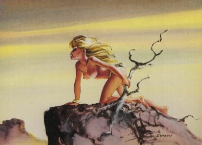 Dany, Carte postale, Colombe sur un rocher