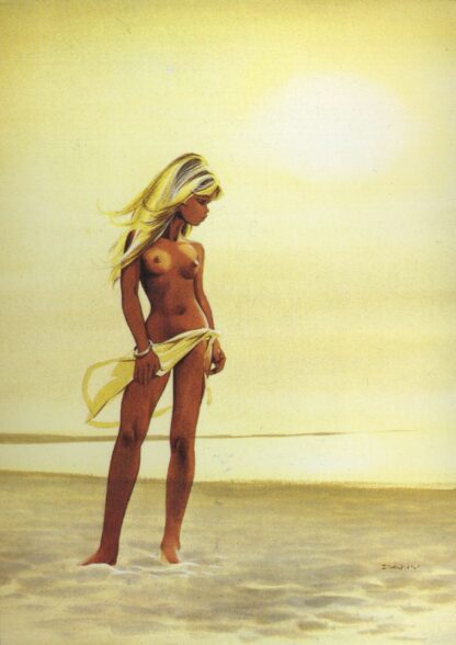 Dany, carte postale, Colombe sur la plage