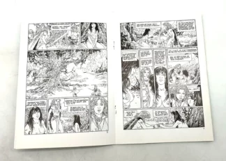la-sorciere-et-le-corbeau-exlibris-signe-stalner-pages