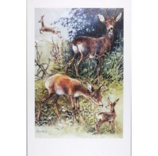 Hausman, Affiche Offset, Les chevreuils