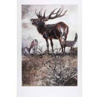 Hausman, Affiche Offset, Le cerf
