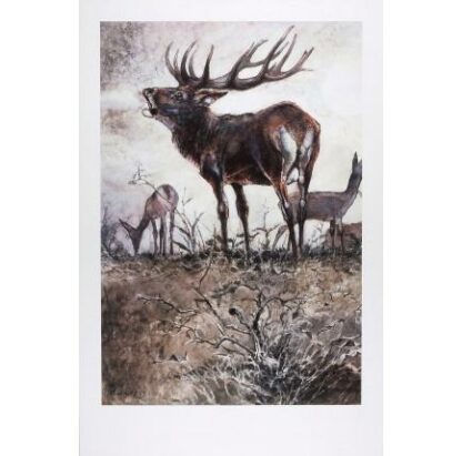 Hausman, Affiche Offset, Le cerf