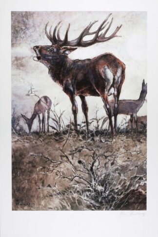 Hausman, Affiche Offset Signée, Le cerf