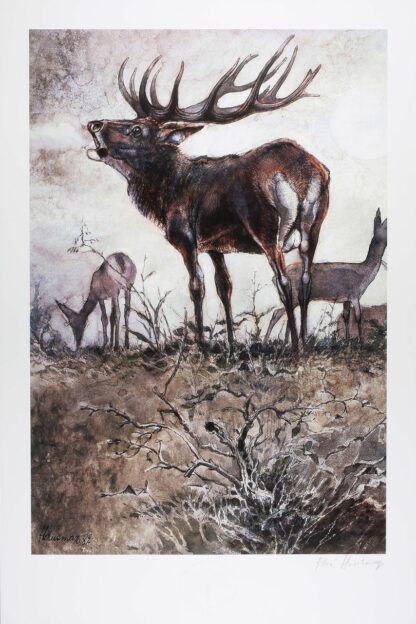 Hausman, Affiche Offset Signée, Le cerf
