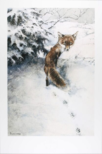 Hausman, Affiche Offset, Le renard