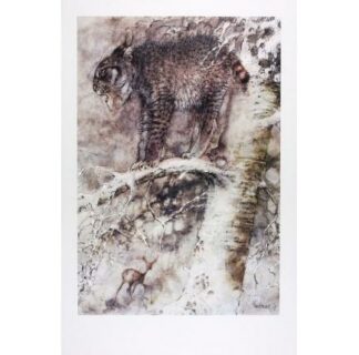 Hausman, Affiche Offset, Le lynx