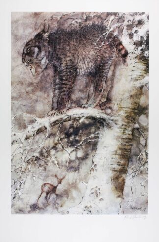 Hausman, Affiche Offset, Le lynx