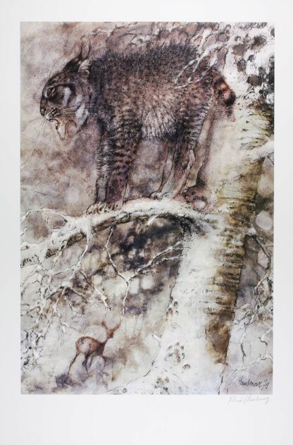 Hausman, Affiche Offset, Le lynx
