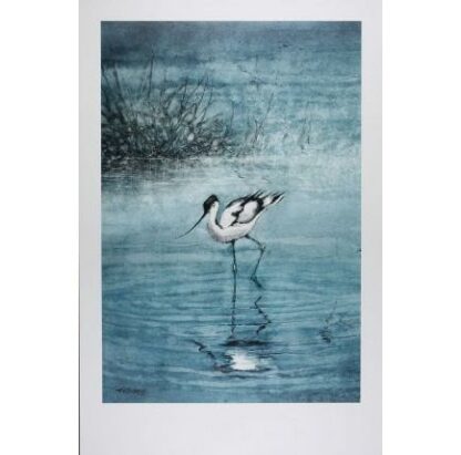 Hausman, Affiche Offset, L'avocette