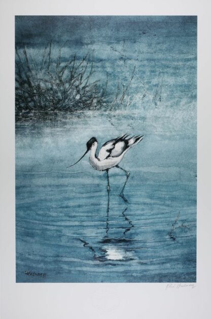Hausman, Affiche Offset Signée, L'avocette
