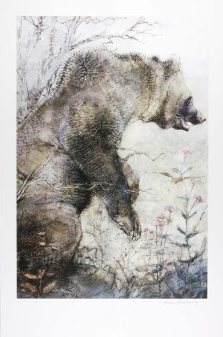 Hausman, Affiche Offset Signée, Le grizzly