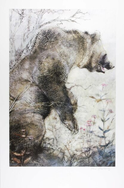 Hausman, Affiche Offset Signée, Le grizzly